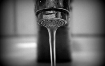 Jajcarze z Izb Lekarskich – fluorkowanie – cz.I