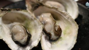 oyster-989179_1920