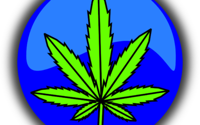 Alkohol groźniejszy dla mózgu niż marihuana