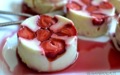 Jaglano-kokosowa panna cotta z truskawkami