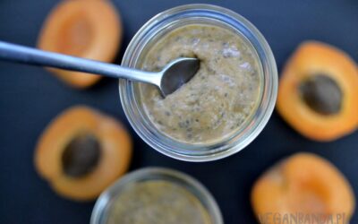 Morelowa chia pudding