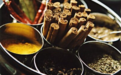Masala Chai! Rozgrzej się!
