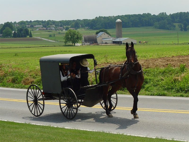 Wyjatkowe zdrowie Amiszów.