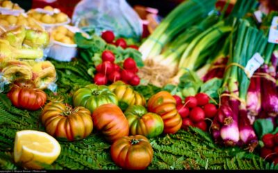 Dieta balansująca i oczyszczająca organizm
