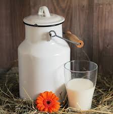 Mleko – doskonały produkt czy trucizna?