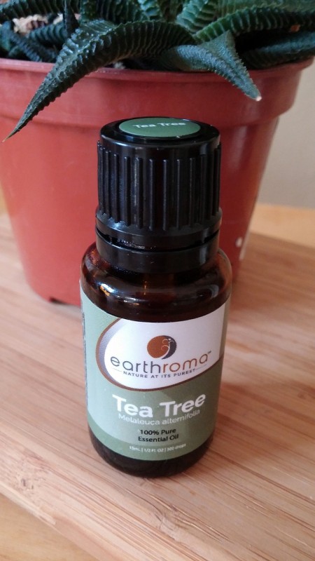 Olejek z drzewa herbacianego – naturalny antyseptyk.