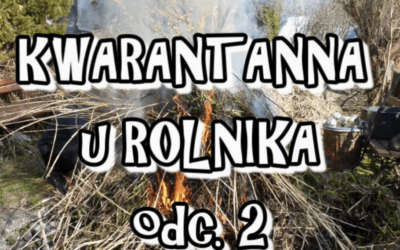 Kwarantanna u rolnika cz.2