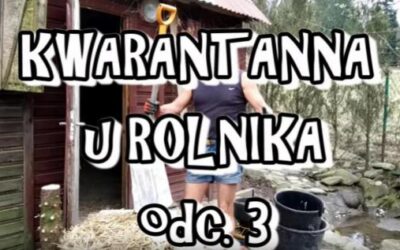 Kwarantanna u rolnika cz.3