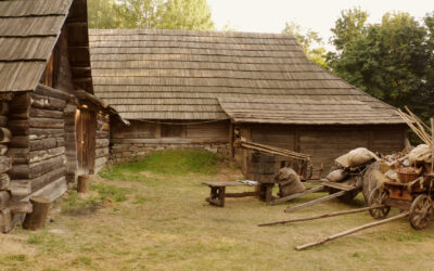 Tradycyjna medycyna naturalna na Rusi