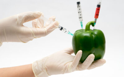 GMO nie uratuje świata przed głodem