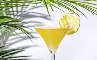 Jak prawidłowo pić alkohol – poradnik dla homo sapiens