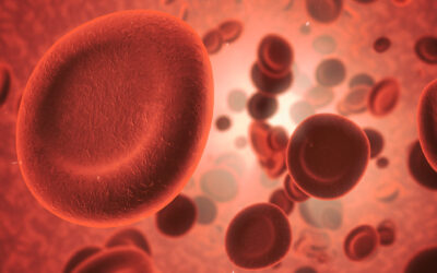 A jak anemia – cicha złodziejka energii i koloru życia