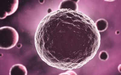 Mimikra molekularna – biologiczna iluzja o wielkim znaczeniu