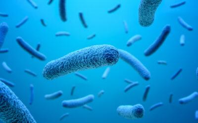 Antybiotyk niszczy wszystko w organizmie